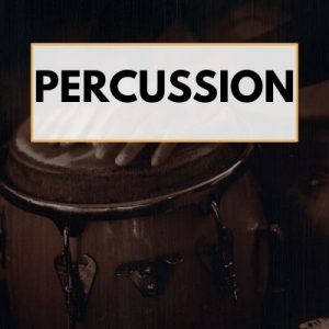 a conga with an overlay that reads, "Percussion"